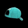 Rainbow's Ballcap