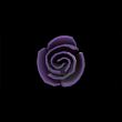 Rarity's Rose