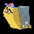 Hay Bale Disguise