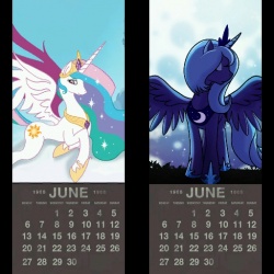Pony Calendars