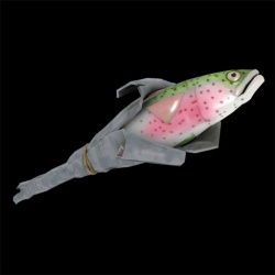 Rainbow Trout
